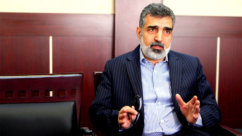 برنامه‌ریزی برای همکاری جدید ایران و روسیه در صنعت هسته‌ای/ توسعه این رآکتورها عملیاتی می‌شود