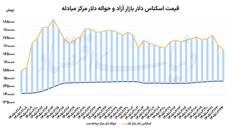 سکه در کف 5 ماهه