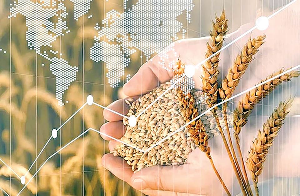 پریمیوم در تجارت جهانی غلات