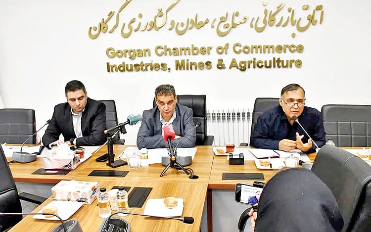 مانع «مسکن کوچک» به گرگان رسید