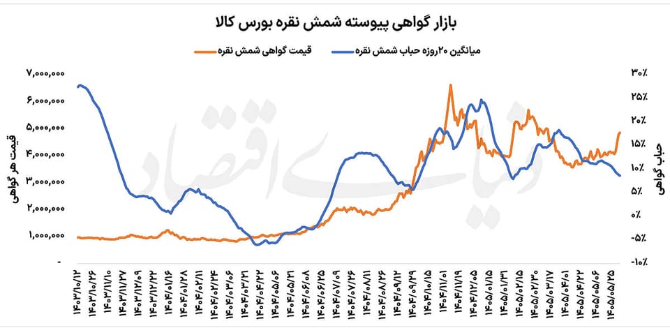 پیشانی بلند نقره بورسی؟