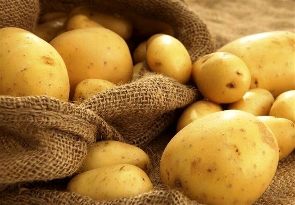ورود ۳ میلیون تن سیب‌زمینی به بازار  برای شکستن حباب قیمتی/ قیمت منطقی این محصول چقدر است؟
