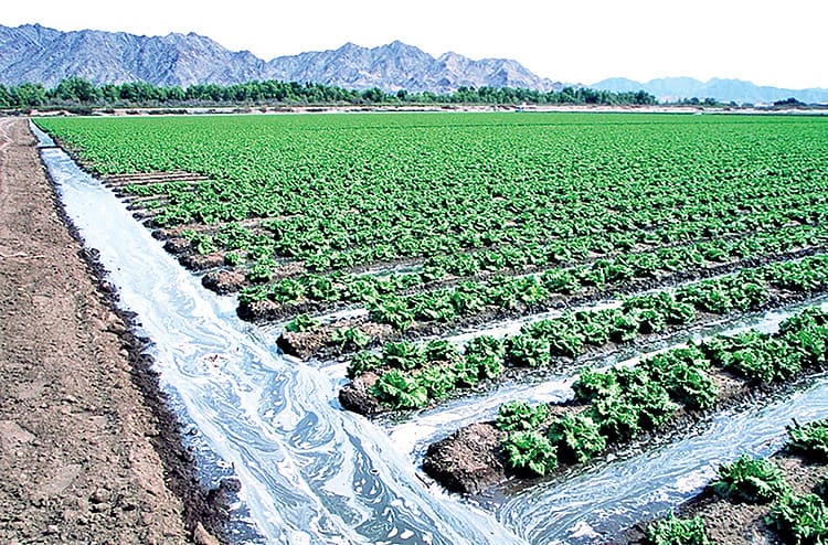 شکاف راندمان تا بهره‌وری آب