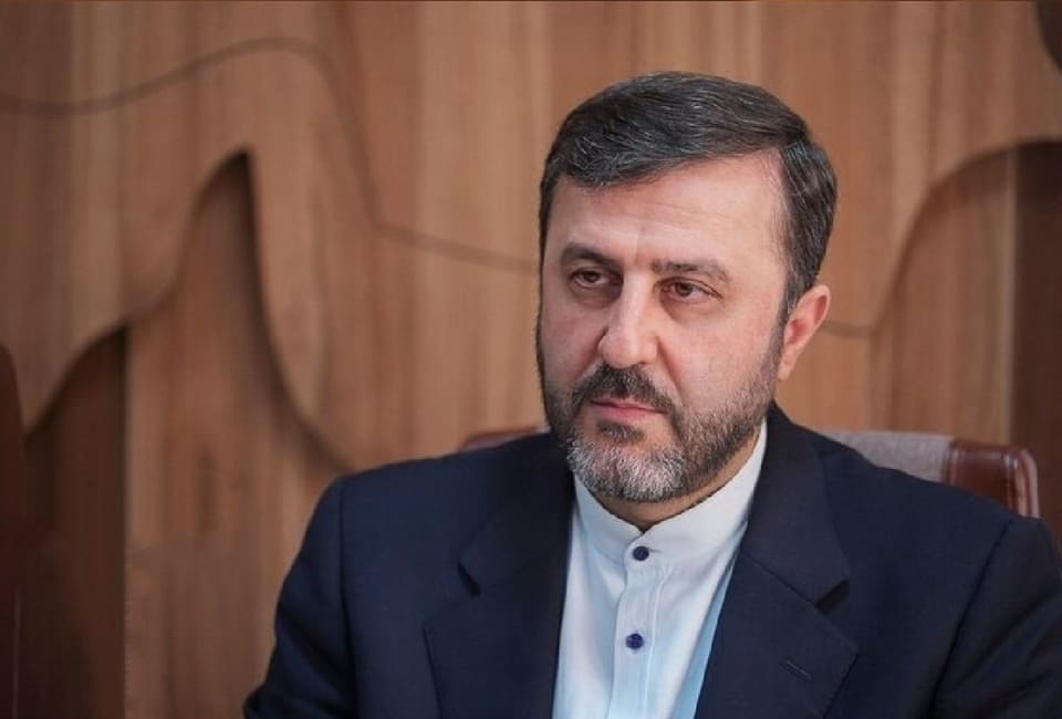 گزارش غریبآبادی از دهلینو؛ تشریح مهمترین محورهای بیانیه سران سازمان بریکس/ حمایت صریح اعضای بریکس از الحاق ایران به سازمان تجارت جهانی