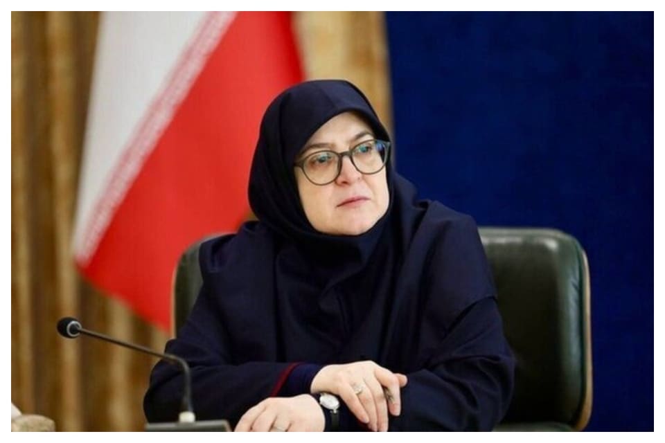 سخنگوی دولت توئیت جدید زد/ آییننامه حمایت از بازگشت نخبگان خارج از کشور تصویب شد