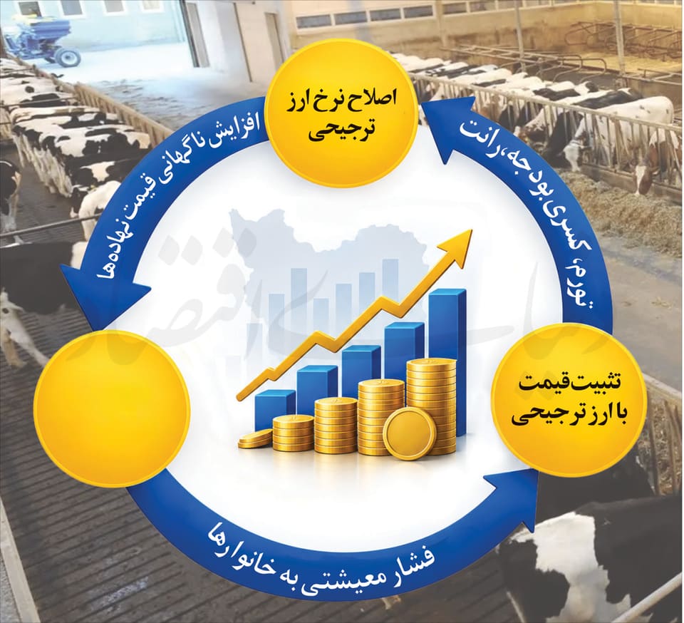 مکمل‌های حمایتی اصلاح ارزی